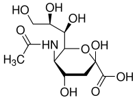 N-乙酰神經氨酸