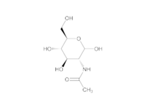 N-乙酰氨基葡萄糖